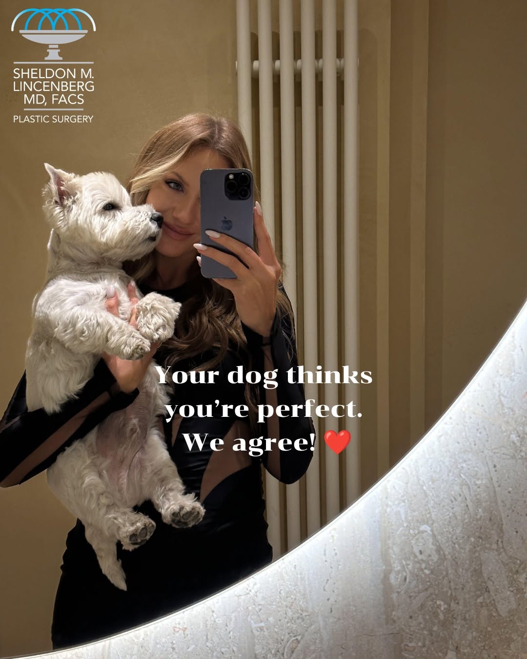 Instagram post by Dr. Sheldon Lincenberg: It's National Dog Day! Things your dog will never judge you for: 🐾 Wrinkles 🐾 Fine lines 🐾 A little extra skin 🐾 Needing a refresh But i…