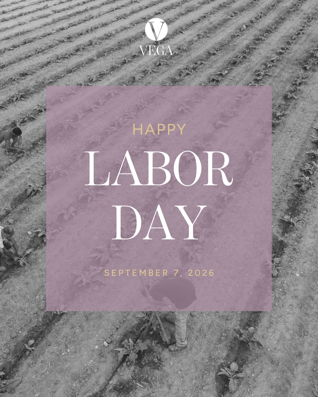 Instagram post by Dr. Stephen J. Vega: Happy Labor Day from all of us at Vega! 💜 We hope today gives you a chance to slow down and spend time with the people who make life sweete…