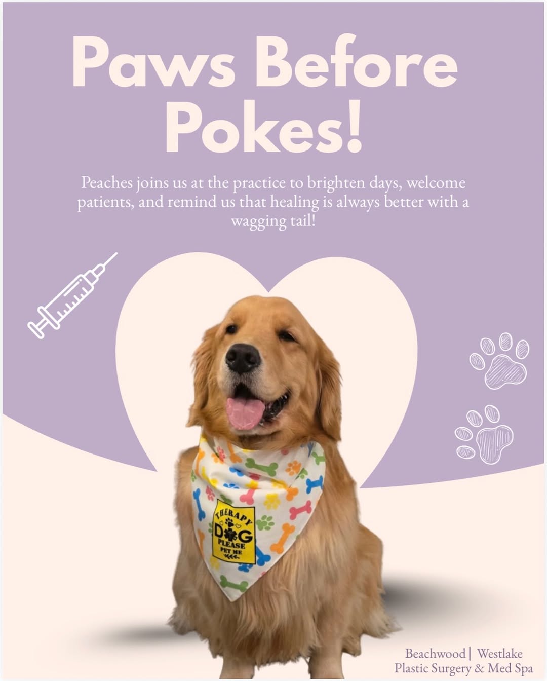 Instagram post by Dr. Steven Goldman: 🐾 Paws Before Pokes is happening tomorrow! 🐾 Our sweet therapy dog, Peaches, will be at our Westlake office throughout the day, bringing p…