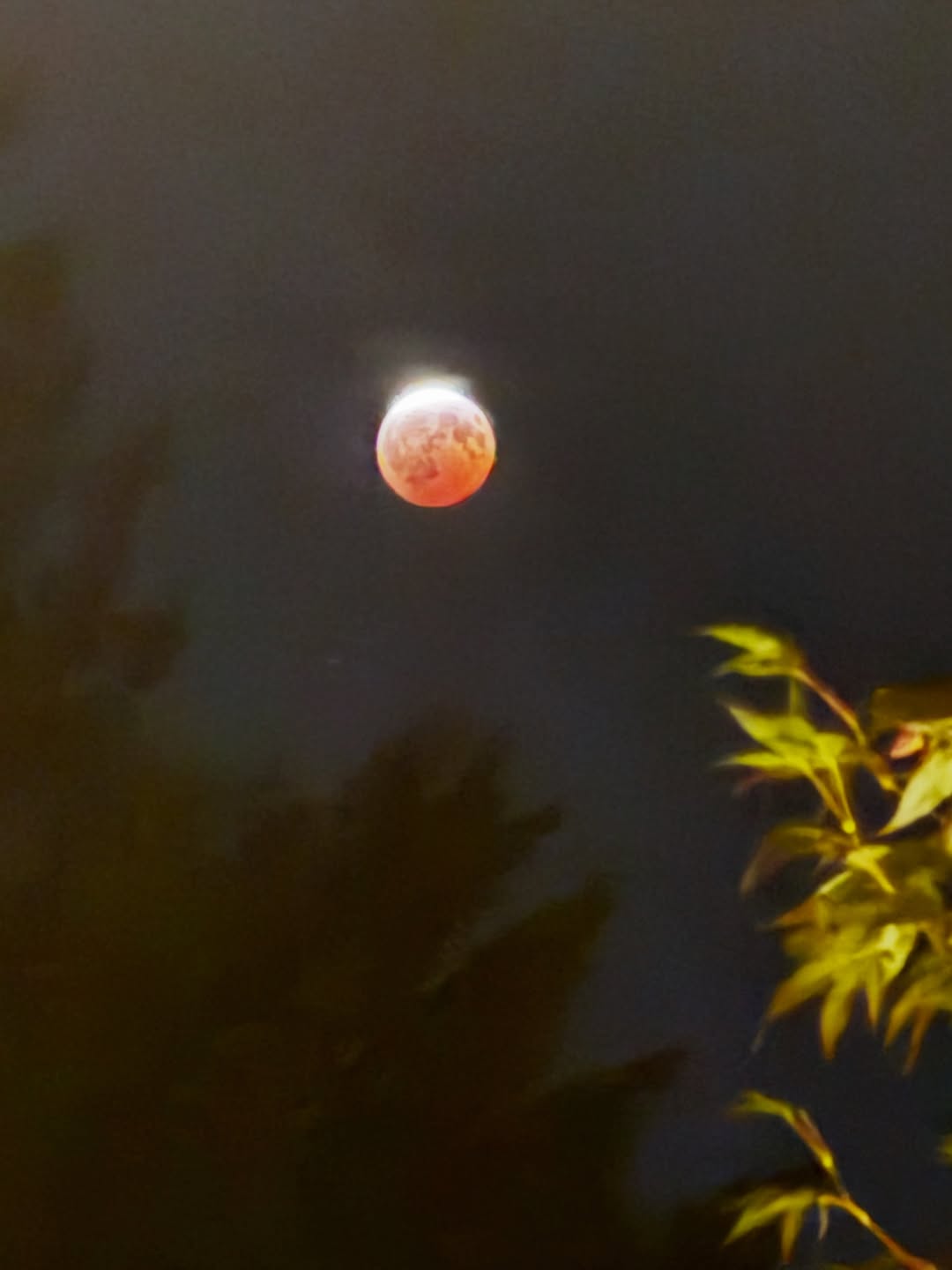 Instagram post by Dr. Steven L. Greene: 🌕✨ Did anyone else catch the spectacular partial lunar eclipse last night? As Earth’s shadow crossed the Moon, it gave the Moon a beautiful…