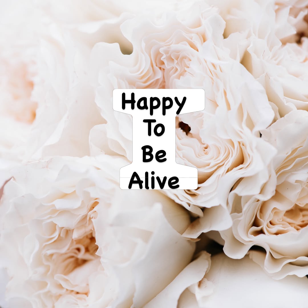 Instagram post by Dr. Tamy M. Faierman: Dr.Tamy Soul Surgeon reminder to be : Happy to be Alive 🙏✨🎉 #awareness #consciousness #mindfulness