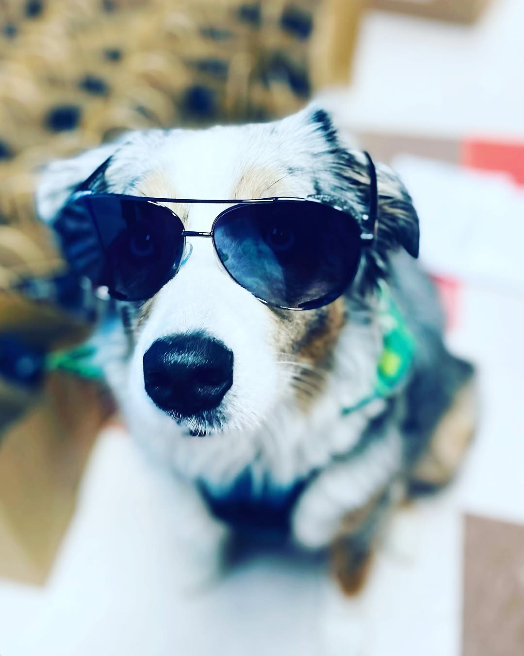Instagram post by Dr. Timothy M. Bradley: Just a friendly reminder that we are OPEN for normal business hours next week. Enjoy your Spring Break! ☀️🌊🌴#pobarrocks