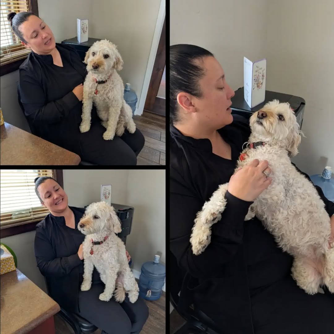 Instagram post by Dr. William Loutfy: Nikki living her best life with her best friend! ♥️ #nikki #officepup #herbestfriendjoy #abqcenterforplasticsurgery
