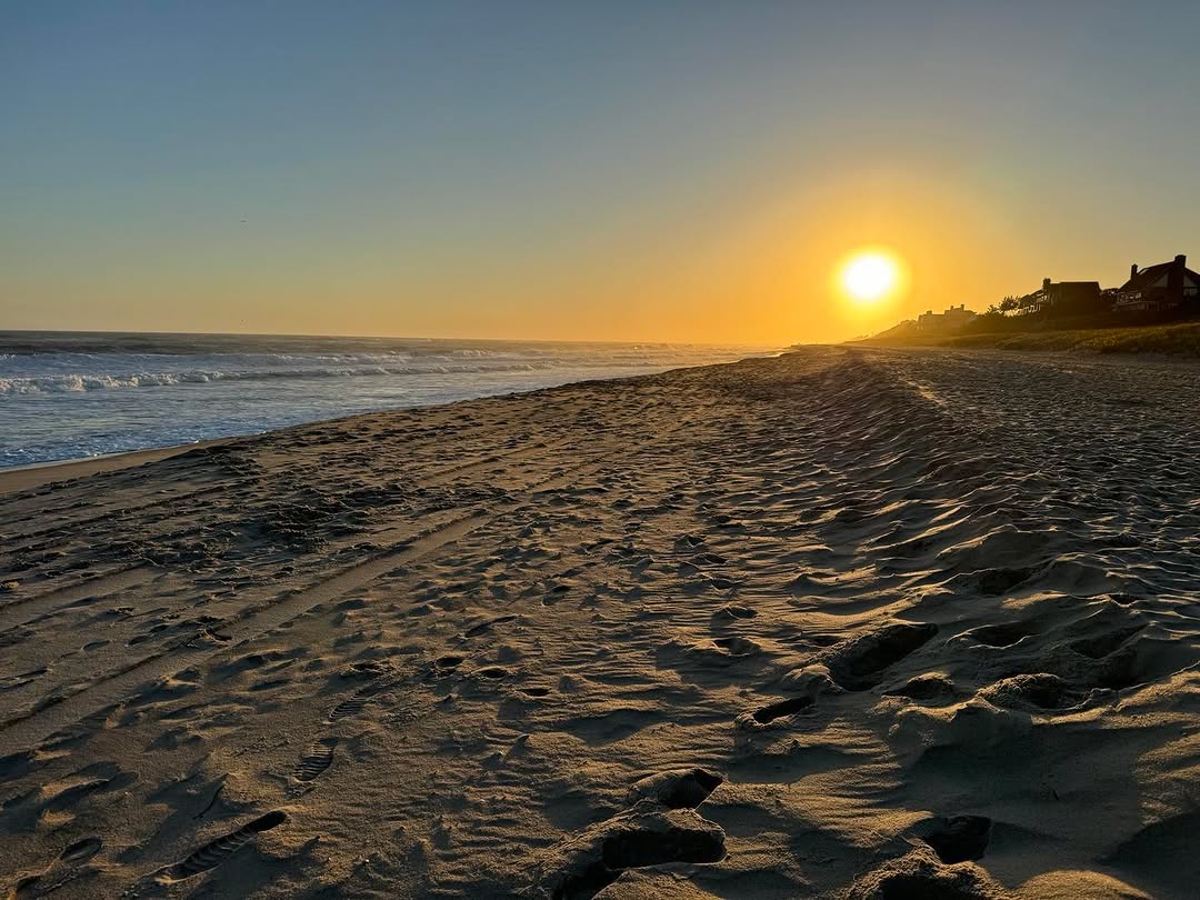 Instagram post by Dr. William Samson