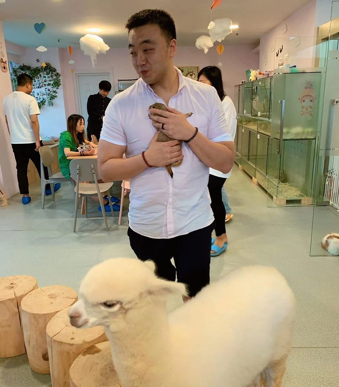 Instagram post by Dr. Xiaoti Xu: Singles day... #1111 #chinaadoption #petfriendly #shanghailife #shanghaiist #whatamilookingat