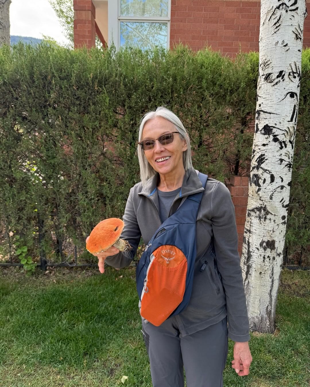 Instagram post by Dr. Zoran Potparic: My wife Billy is very knowledgeable about mushrooms. We found this one on someone down in the center of Aspen,Co. this is so called Aspen re…