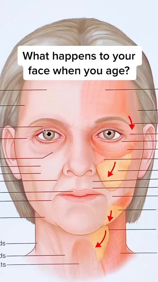 Video by Dr. William Aiello: Why our face age.